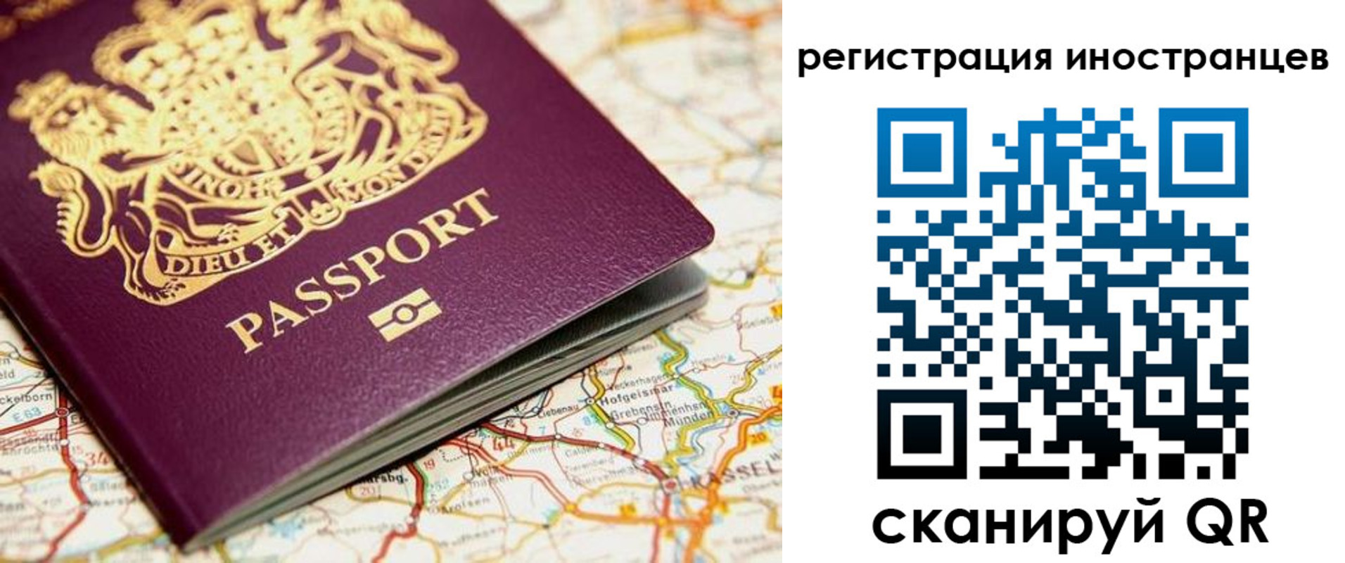 временная регистрация 2025 в Светлогорске
