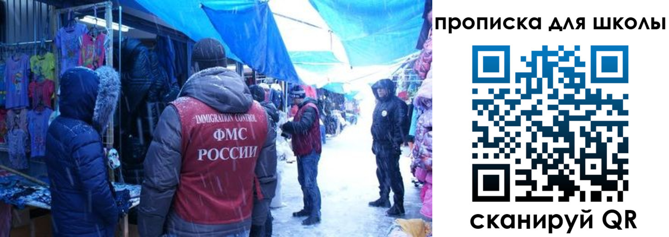 прописка гарантия в Светлогорске